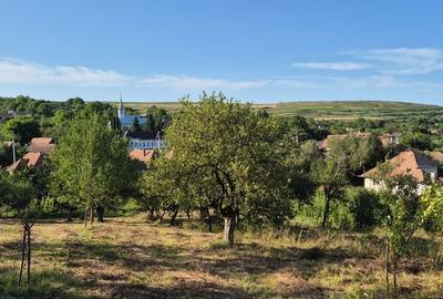 Casă cu 3 camere în Filea de Jos - 6