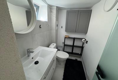 Inchiriere casa renovata 2025 trei camere D+P mobilata/utilata Cotroceni metrou - 17