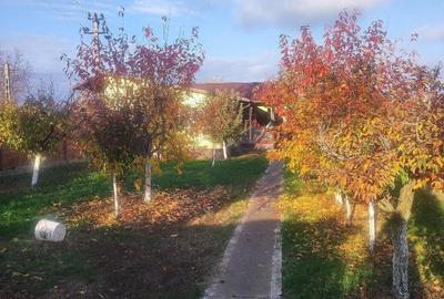 Casă cu 12 camere cu Teren 2230 Mp în Tăriceni - 2
