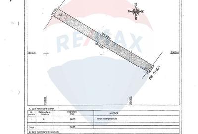 Teren de 5000 mp, în Nord - 3