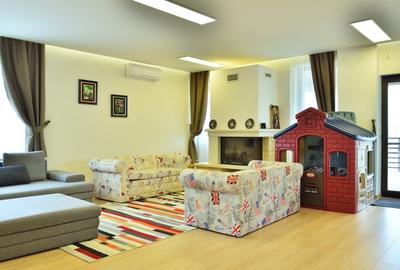Proprietate deosebita Bacu/Ciorogarla / vila D+P+M / vila P+1 / teren: 13.678 mp - 5