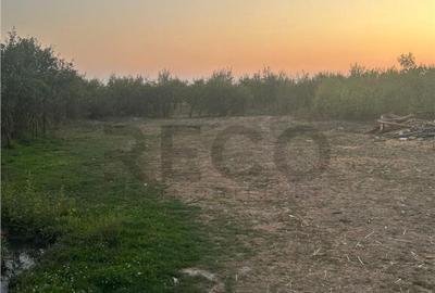 Casa in Cauasd la pret de teren - 16