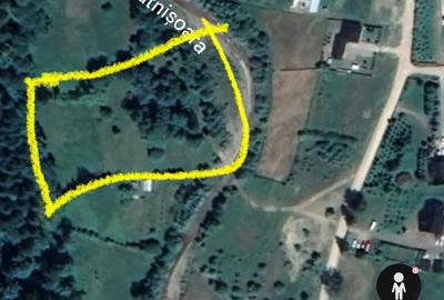 Teren de 6888 mp, în Putna - 8