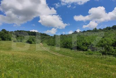 Teren de 28500 mp, în Gușterița - 8