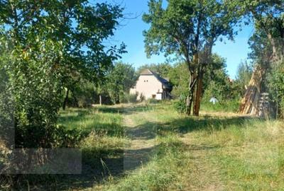 Casa taraneasca cu 3 camere, Turia Jos, - 12