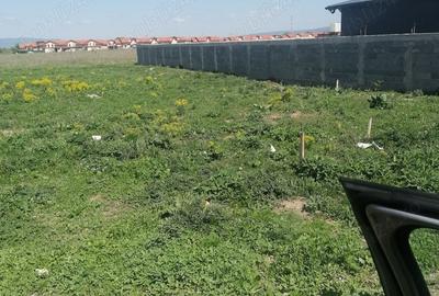 Teren de 1000 mp, în Sânpetru - 3