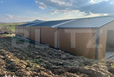Spațiu comercial, de 395 mp, în Sava - 5