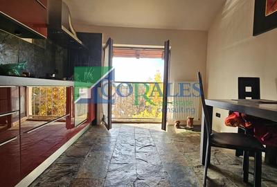 Pozitionat excelent in apropiere de Hotel Mercure. Pozitionat excelent in apropiere de Hotel Mercure. - 6