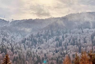 Casă individuală cu 7 camere cu Canalizare în Satu Nou - 9