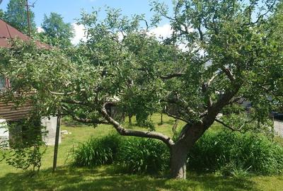 Spațiu comercial, în Lac de Verde - 7