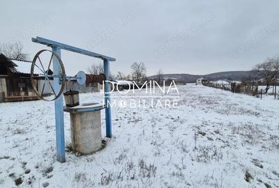 Casă cu 3 camere cu Teren 3726 Mp în Bâlteni