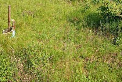 Spațiu comercial, în Cârțișoara - 5