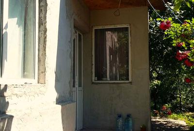 Casă cu 4 camere în Brăniștari - 4
