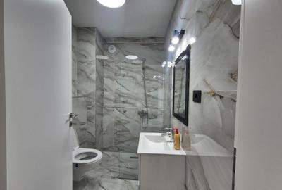 Inchiriere Apartament modern, Coloana Park-Targu Jiu, prima închiriere, 44 mp - 6