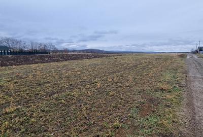 Teren de 560 mp, în Central