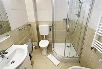 Spațiu comercial, de 1,050 mp, în Băile Felix - 6