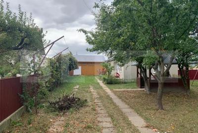 Casă cu 3 camere cu Teren 5100 Mp în Central - 4