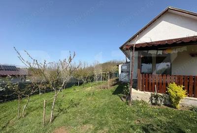 Casa de vacanta zona Ciugud - 1