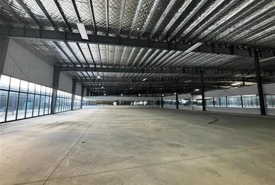 Spațiu industrial, de 5,000 mp, în Afumați - 5