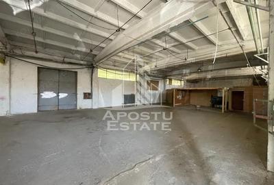 Hala depozitare sau productie cu rampa beton, 280 mp, Zona Buziasului - 3