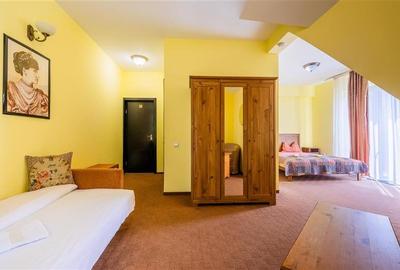 FILM! Pensiune turistica+Casa+transfer afacere+2000 mp teren,Cheile Rasnoavei,Br - 19