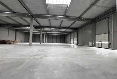 Spațiu comercial, de 7,014 mp, în Biharia - 11