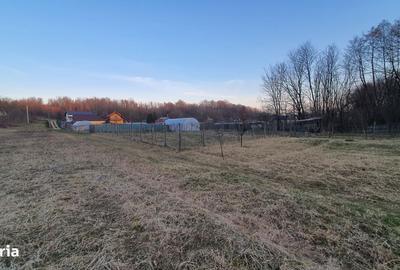 Spațiu comercial, în Hințești - 2