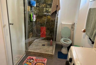 Apartament cu 3 camere decomandat, mobilat în Lacul Morii - 8