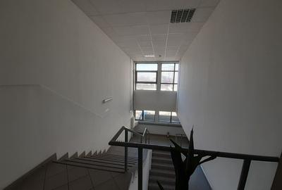 Hala 430 mp in zona Fizicienilor + platforme betonate sau birouri - 7