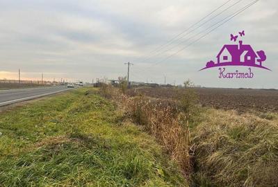 Teren pentru hale soseaua Nojorid Les - 1