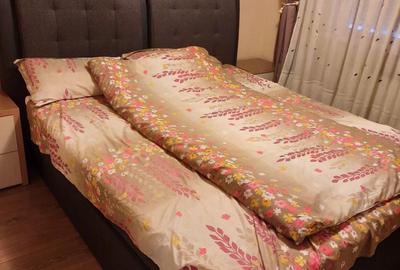 Apartament cu 3 camere decomandat în Decebal - 9