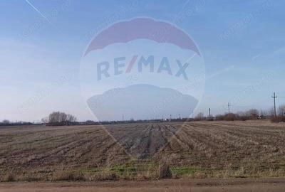 Teren intravilan - PUZ Lugoj / DN centura ocolitoare a Lugojului - 4