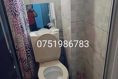 Apartament cu 2 camere nedecomandat în Tătărași - 4