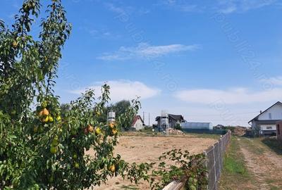 Teren de 4000 mp, în Plopeni - 2