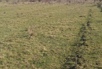 Teren extravilan de vanzare Floresti - 2