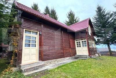 VAND CASA DE VACANTA LA COLIBITA, CU VEDERE SPRE LAC - 2