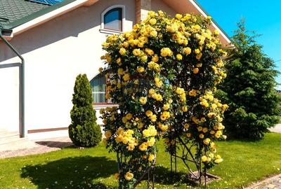 Casă individuală cu 4 camere cu Canalizare în Spătaru - 5