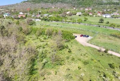 Teren de 850 mp, în Central - 3