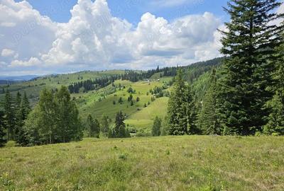 Teren de vanzare in Bucovina Comuna Breaza Zona Paraul Negrei - 8