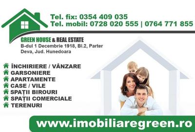 Spatiu comercial +garaj Micul Dallas - 1