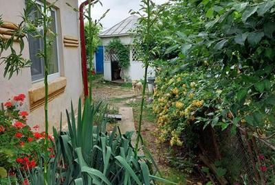 Casă cu 4 camere cu Teren 160 Mp în Osica de Jos - 5