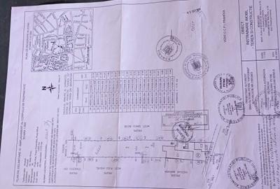Casă cu 4 camere în Malu Roșu - 5