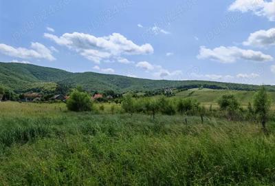 Teren de 7800 mp, în Dobârlău - 7