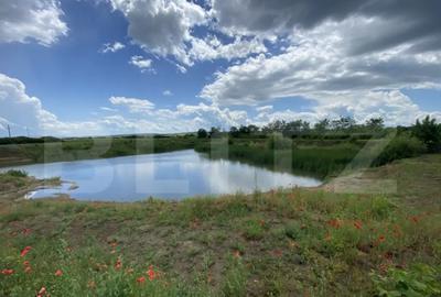 Teren de 10000 mp, în Șărmășag - 5