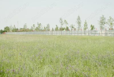 Teren de 8000 mp, în Otopeni