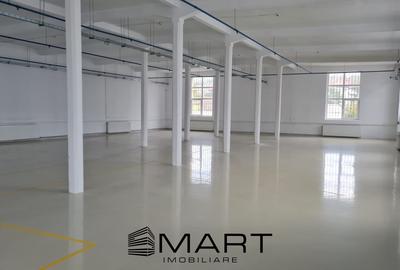 Spatii de inchiriat - Depozitare | Productie | Birouri Cisnadie - 2