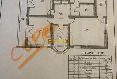 Casa 6 Camere, gradina spectaculoasa, Erou Iancu Nicolae - 9