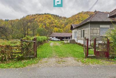 Casa renovata in localitatea Lazuri, Arad - 5