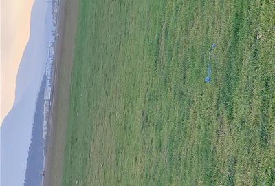 Spațiu comercial, în Bartolomeu - 1