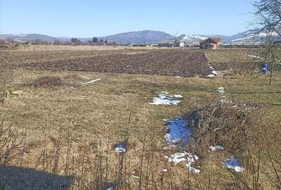 Casă individuală cu 3 camere cu Teren 1200 Mp în Chichiș - 1